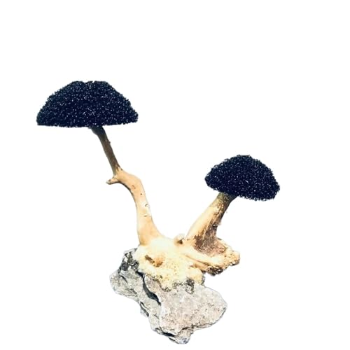 IKFGTJRE Aquarium Treibholz Aquarium Treibholz Landschaftsbau Dekoration Fisch Tank Holz DIY Ornament DIY Fisch Tank Handwerk Dekor(H10-15cm 2 Heads) von IKFGTJRE