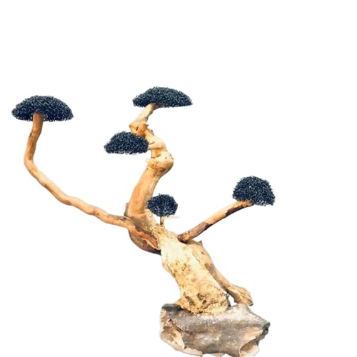 IKFGTJRE Aquarium Treibholz Aquarium Treibholz Landschaftsbau Dekoration Fisch Tank Holz DIY Ornament DIY Fisch Tank Handwerk Dekor(H16-20cm 5 Heads) von IKFGTJRE