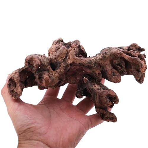 IKFGTJRE Aquarium Treibholz Aquarium Treibholz Unterwasser Holz Rhododendron Wurzel Aquarium Landschaft Dekoration Holz(20-25cm/piece) von IKFGTJRE