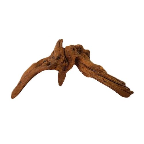 IKFGTJRE Aquarium Treibholz Baumstamm Aquarium Dekoration 1Pcs Holz Kunstwerk Dekor Landschaftsbau Ornamente Dekor Fisch Tank Hintergrund Moos Dekor(10-15cm) von IKFGTJRE
