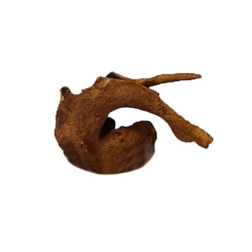 IKFGTJRE Aquarium Treibholz Baumstamm Aquarium Dekoration 1Pcs Holz Kunstwerk Dekor Landschaftsbau Ornamente Dekor Fisch Tank Hintergrund Moos Dekor(5-10cm) von IKFGTJRE
