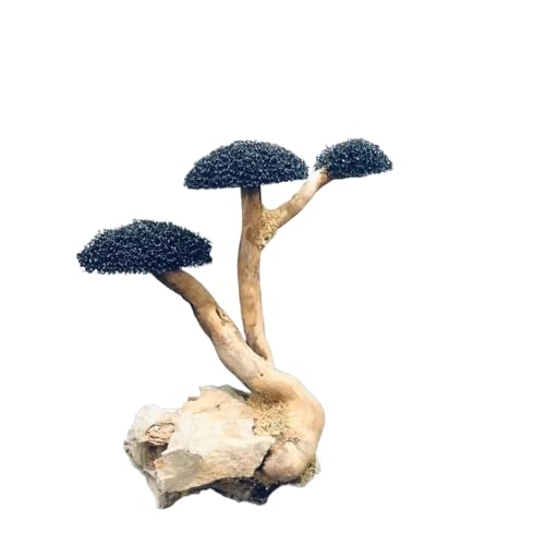 IKFGTJRE Aquarium Treibholz Fisch Tank Holz DIY Ornament DIY Fisch Tank Handwerk Dekor Aquarium Treibholz Landschaftsbau Dekoration(H10-15cm 3 Heads) von IKFGTJRE