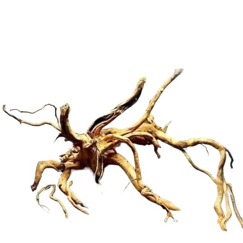 IKFGTJRE Aquarium Treibholz Holzbaum, Treibholzzweige, Form zufällige Reptilienholzzweige, DIY, große Größe, unregelmäßige Baumwurzel for Schildkrötentanks(25-30CM) von IKFGTJRE