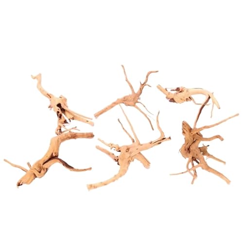 IKFGTJRE Aquarium Treibholz Holzstamm Treibholz Baum 1 Pcs Aquarium Aquarium Pflanzenstumpf Aquarium Aquarium Ornament Landschaftsbau Dekoration(15-20cm) von IKFGTJRE