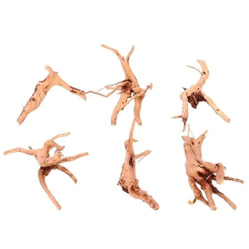 IKFGTJRE Aquarium Treibholz Holzstamm Treibholz Baum 1 Pcs Aquarium Aquarium Pflanzenstumpf Aquarium Aquarium Ornament Landschaftsbau Dekoration(8-10cm) von IKFGTJRE