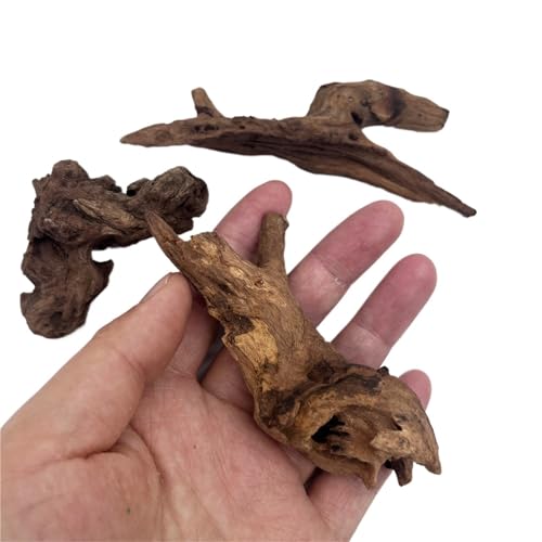IKFGTJRE Aquarium Treibholz Holzzweige 3/6/9 STÜCK Mikro-Landschaftsdekoration 5-10 cm, kleines Treibholz for Aquarium, Fischtank-Ornamente, Dekor, Heimwerkzeug(3PCS 5-10CM) von IKFGTJRE