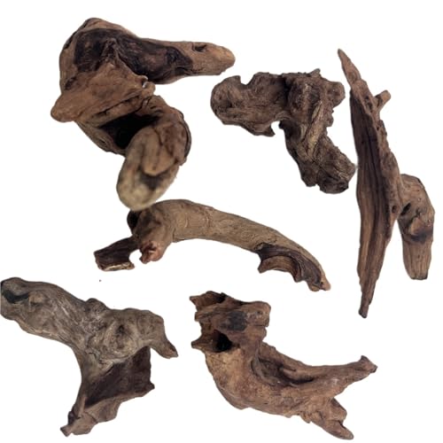 IKFGTJRE Aquarium Treibholz Holzzweige 3/6/9 STÜCK Mikro-Landschaftsdekoration 5-10 cm, kleines Treibholz for Aquarium, Fischtank-Ornamente, Dekor, Heimwerkzeug(6PCS 5-10CM) von IKFGTJRE