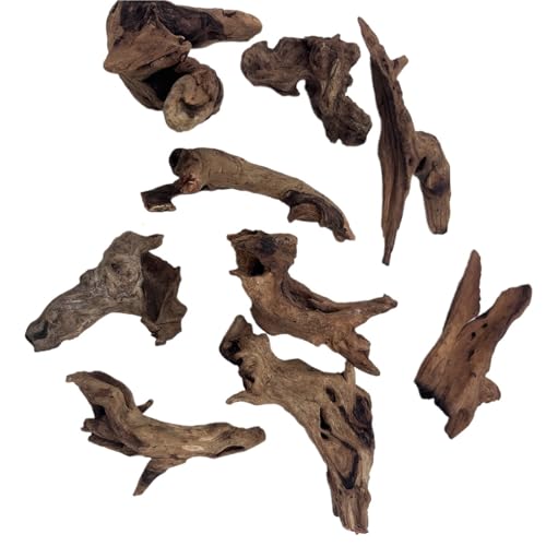 IKFGTJRE Aquarium Treibholz Holzzweige 3/6/9 STÜCK Mikro-Landschaftsdekoration 5-10 cm, kleines Treibholz for Aquarium, Fischtank-Ornamente, Dekor, Heimwerkzeug(9PCS 5-10CM) von IKFGTJRE