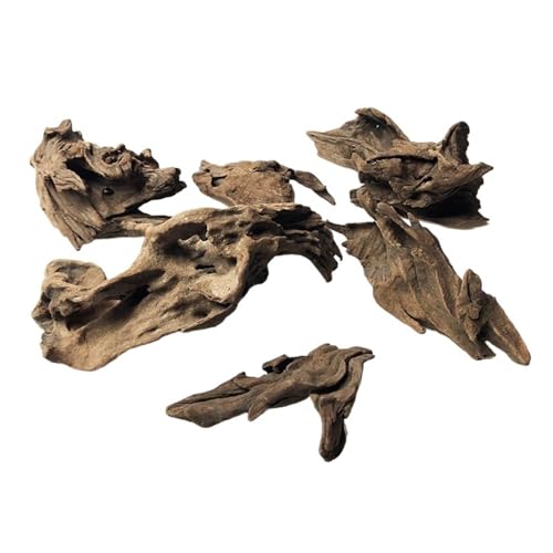 IKFGTJRE Aquarium Treibholz Kleines ausgewähltes Treibholz – Aquascaping, Paludarium, Aquarium-Dekor, Verschiedene Größen(5-10cm) von IKFGTJRE