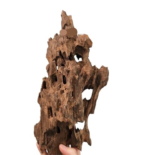 IKFGTJRE Aquarium Treibholz Treibholz Aquarium Fisch Ruheloch Holz Extra Großes Holz Aquarium Garnelen Holz F Treibholz Baumstamm(30-40cm 1pcs) von IKFGTJRE