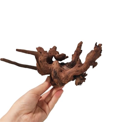 IKFGTJRE Aquarium Treibholz Treibholz Aquarium Holz Großes Treibholz Aquarium Fisch Tank Baumstamm Aquarium Holz Extra Groß for Zuhause(15-20cm-5pcs) von IKFGTJRE