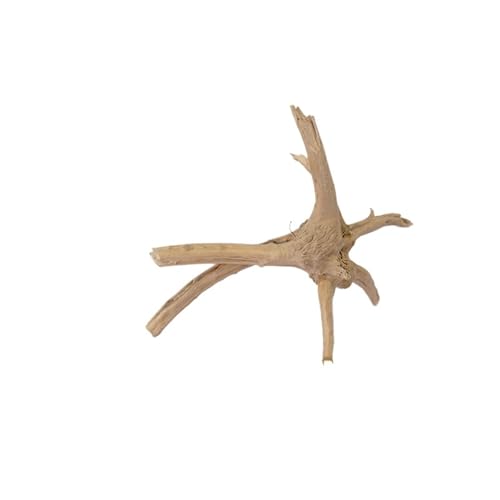 IKFGTJRE Aquarium Treibholz Treibholz Baumstamm 1PC Micro Landschaft Reptil Zylinder Fisch Tank Ornament Aquarium Dekoration Kuckuckswurzeln Totholz(10-15cm) von IKFGTJRE