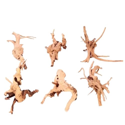 IKFGTJRE Aquarium Treibholz Treibholz Kuckuckswurzeln Totholz Baumstamm Mikrolandschaft Reptil Zylinder Aquarium Ornament Aquarium Dekor(10-15cm(3PCs)) von IKFGTJRE