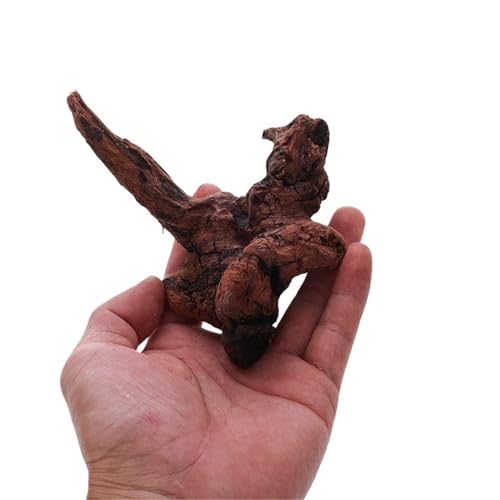 IKFGTJRE Aquarium Treibholz Treibholz Schildkröte Hideout Tank Dekoration Lila Sapling Baum Wurzel Ornament Aquarium Landschaft Decora(10-15cm1 Piece) von IKFGTJRE
