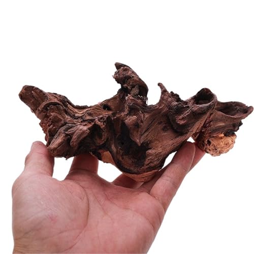 IKFGTJRE Aquarium Treibholz Treibholz Schildkröte Hideout Tank Dekoration Lila Sapling Baum Wurzel Ornament Aquarium Landschaft Decora(15-20cm1 Piece) von IKFGTJRE