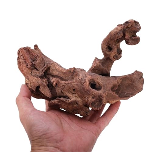 IKFGTJRE Aquarium Treibholz Treibholz Schildkröte Hideout Tank Dekoration Lila Sapling Baum Wurzel Ornament Aquarium Landschaft Decora(20-25cm1 Piece) von IKFGTJRE