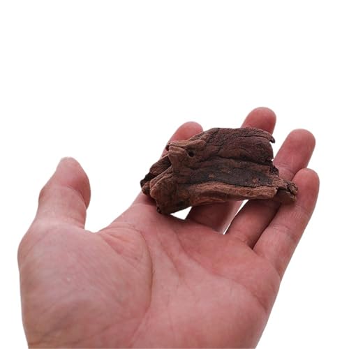 IKFGTJRE Aquarium Treibholz Treibholz Schildkröte Hideout Tank Dekoration Lila Sapling Baum Wurzel Ornament Aquarium Landschaft Decora(5-10cm1 Piece) von IKFGTJRE