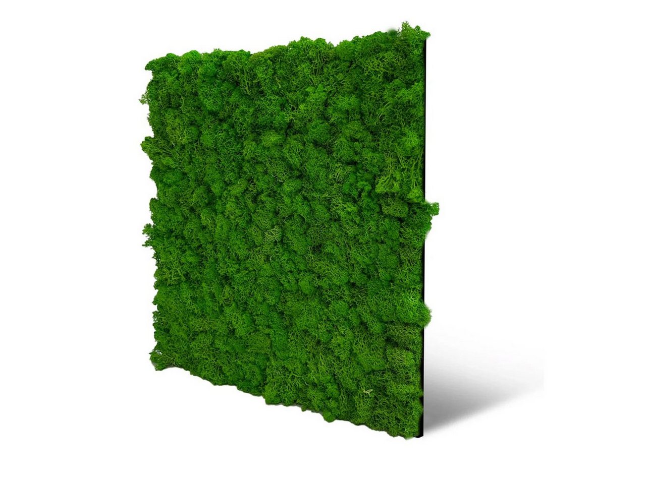 IKHEMalarka 3D Wandpaneel Moos 3D Paneelen Mooswand Wandpaneele, BxL: 52,00x52,00 cm, 0,27 qm, (1 Stück, 0,27m) von IKHEMalarka