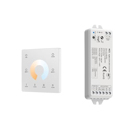 2-in-1 LED-Controller 12 V 24 V Dimmer CCT WWCW Streifenlichtsteuerung 2,4 G Touch-Fernbedienung for Alexa Googles Life(WZ1 TW2-W) von IKPGBZXM