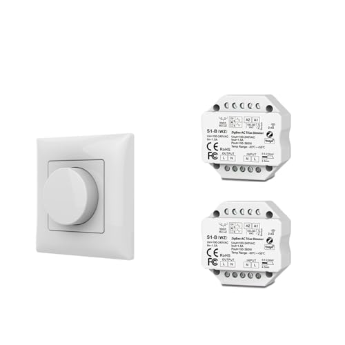 AC Triac Dimmer LED Licht Controller Taste Schalter 110V 220V 230V Drahtlose Dreh Control Touch fernbedienung(2xS1-B(WZ) PK1) von IKPGBZXM