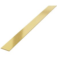 Dekorative Wandleiste aus Edelstahl 38 mm x 2440 mm - Gold Satin Dekorative Wandleiste aus Edelstahl 38 mm x 2440 mm - Gold Satin von ILCOM