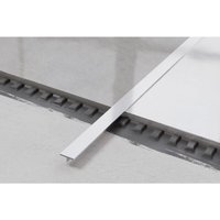Ts Profile Rektifizierte Fugenabdeckung aus Edelstahl 1.5cm x 244cm - Satiniertes Silber von ILCOM