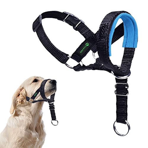 ILEPARK Hundehalfter mit Sicherheitsgurt, Kopfgeschirr für Hunde, um das Ziehen zu stoppen, verstellbar und leicht zu kontrollieren (S, Blau) von ILEPARK