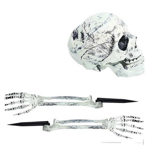 ILJXPOZB Realistische Halloween-Skelett-Gartenstecker – 2er-Pack Totenkopf Mit Menschlichen Händen Und Armen, Gruselige Hof- Und Friedhofsdekoration for Die Einrichtung Von Spukhäusern Im Freien ILJXPOZB Realistische Halloween-Skelett-Gartenstecker – 2er-Pack Totenkopf Mit Menschlichen Händen Und Armen, Gruselige Hof- Und Friedhofsdekoration for Die Einrichtung Von Spukhäusern Im Freien von ILJXPOZB
