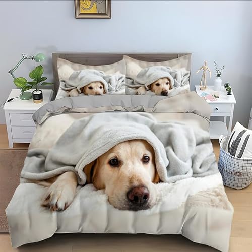 ILMIRA Bettwäsche 135x200 Golden Retriever Bettwäsche 3 Teilig Traumhaft Weich Allergiker Mikrofaser Einzelbett Bettbezug mit Reisverschluss für Kinder und Erwachsene und 2 Kissenbezug 80x80 cm von ILMIRA