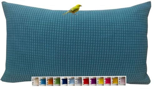 Kissen Bezug 60x80，2er Set Kissenhülle 50x50，Kopfkissenbezug 40x60，Couch Kissenbezug 60x60 40x40，Sofa Kissenbezüge 30x50，Dekokissen Bezug，Pillowcase 50x70，Pillow Cover 45x45，Sofakissen Beige(12-10,30x von ILiemao