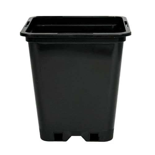 Imagro 10 x Töpfe in verschiedenen Größen Pflanztopf Anzucht vierkant schwarz (3,5 Liter) von Imagro
