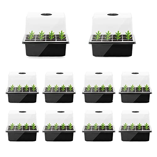 IMAYLLA Indoor Greenhouse Propagation Box 10-TLG. Mini-Gewächshaus-Set mit 120 Fächern, Setzlingstablett, abgedeckte Lüftung (Schwarz) von IMAYLLA