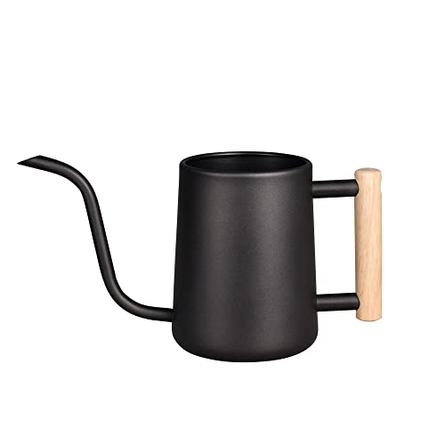 IMEEA 1L Gießkanne Zimmerpflanzen Indoor Giesskanne zimmerpflanzen kleine Watering can Schwarze Blumengießkanne mit langem Auslauf Holzgriff für Zimmerpflanzen Sukkulenten Bonsai von IMEEA