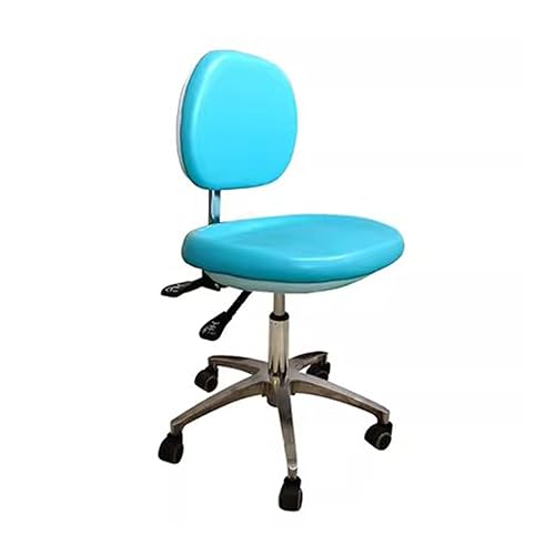 IMGASDCSD Da rollstühle herumrollen, die den thermalschemel Dentist Chair with Backrest PU Leather Multicolor Multiple Sizes(Light Blue,B) von IMGASDCSD