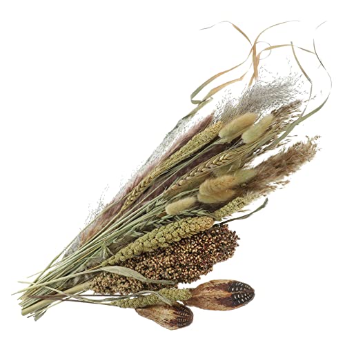 IMIKEYA 1 - Groß Besenkorn Tischgetrocknete Besenkorn-Ornamente Grasdekor Gefälschte Pampas Kunstgras Esstisch Getrockneter Besenmais Sorghum-Schilf IMIKEYA 1 - Groß Besenkorn Tischgetrocknete Besenkorn-Ornamente Grasdekor Gefälschte Pampas Kunstgras Esstisch Getrockneter Besenmais Sorghum-Schilf von IMIKEYA