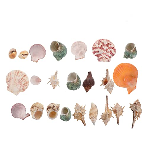 IMIKEYA Aquarium Dekoration Lifelike Set für Fischbecken und Realistische Kunstwerke für Aquarien und Heimdekoration IMIKEYA Aquarium Dekoration Lifelike Set für Fischbecken und Realistische Kunstwerke für Aquarien und Heimdekoration von IMIKEYA