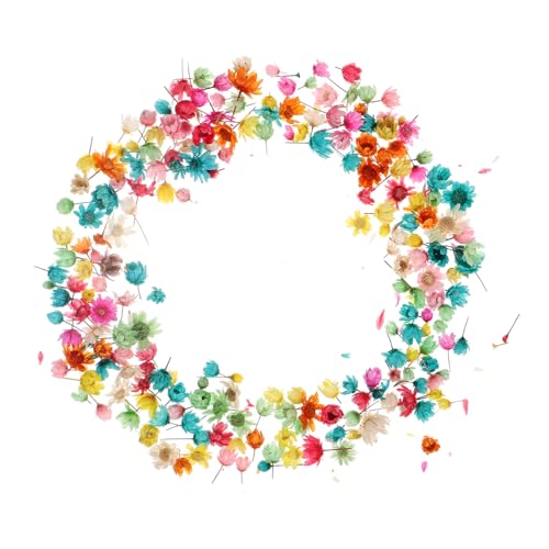 IMIKEYA DIY Trockenblumen Blütenköpfe für Epoxidharz und Kerzenherstellung Natürliche Gepresste Blumen Farbige Kleine Blütenköpfe ca Langlebig und Verblassungsfrei für Bastelprojekte und IMIKEYA DIY Trockenblumen Blütenköpfe für Epoxidharz und Kerzenherstellung Natürliche Gepresste Blumen Farbige Kleine Blütenköpfe ca Langlebig und Verblassungsfrei für Bastelprojekte und von IMIKEYA