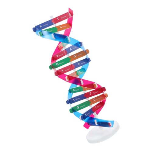 IMIKEYA Doppelhelix Modellbausatz für Menschliche Gene Pädagogisches Experimentiergerät zur Wissenschaftsvermittlung Einfach Zusammengebaut für und IMIKEYA Doppelhelix Modellbausatz für Menschliche Gene Pädagogisches Experimentiergerät zur Wissenschaftsvermittlung Einfach Zusammengebaut für und von IMIKEYA