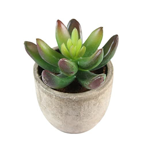 IMIKEYA Elegante Künstliche Sukkulenten Mit Töpfen Künstliches Dekoratives Grün Für Zuhause Büro Schlafzimmer Wohnzimmer Grau IMIKEYA Elegante Künstliche Sukkulenten Mit Töpfen Künstliches Dekoratives Grün Für Zuhause Büro Schlafzimmer Wohnzimmer Grau von IMIKEYA