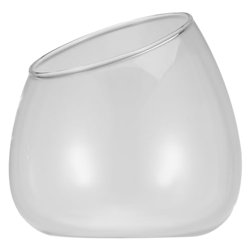 IMIKEYA Schräg geschnittene Glasvase: Glas Terrarium Pflanzenhalter Schräg Geschnittener Pflanztopf - Klarglasvase Sukkulentenhalter Tischdekoration von IMIKEYA