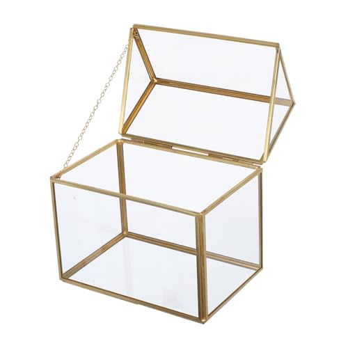 IMIKEYA Terrarium Hausform Geometrischer Moos Terrarium Gewächshaus Dekobox für Tisch Zimmer Büro Kreativer Kleiner Gewächshausdisplay Vielseitig und Pflegefrei von IMIKEYA