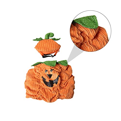 IMIKEYA Warmer Halloween Haustierkostüm mit Kürbis Design Selbstverstellbar Leicht und Komfortabel Geeignet für Kleine Mittelgroße Hunde Festlich und Atmungsaktiv für Halloween Partys IMIKEYA Warmer Halloween Haustierkostüm mit Kürbis Design Selbstverstellbar Leicht und Komfortabel Geeignet für Kleine Mittelgroße Hunde Festlich und Atmungsaktiv für Halloween Partys von IMIKEYA