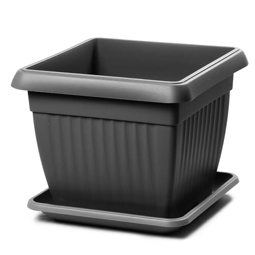 IMJ-Global Blumentopf mit Untersetzer für Pflanzen Blumen TERRA DKWT19-PKWT17 H16 für den Innen- und Außenbereich, quadratisch, schwarz, 3,5 Liter, 19 x 19 x 16 cm, klassisches Design aus Kunststoff von IMJ-Global