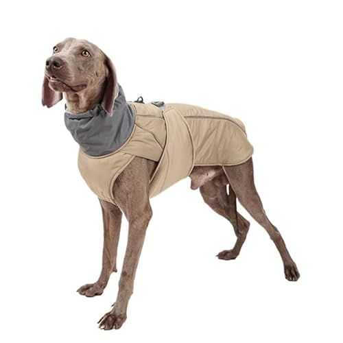 IMOSEI Hundemantel, Winter-Overall for große Hunde, wasserdichte Hundejacke for mittelgroße und große Hunde, verdickte warme Hundekleidung, Französische Bulldogge, Labrador-Kostüm (Color : Beige, SI IMOSEI Hundemantel, Winter-Overall for große Hunde, wasserdichte Hundejacke for mittelgroße und große Hunde, verdickte warme Hundekleidung, Französische Bulldogge, Labrador-Kostüm (Color : Beige, SI von IMOSEI
