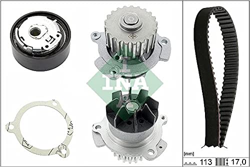 Ina 530 0663 30 - Wasserpumpe + Zahnriemensatz von INA