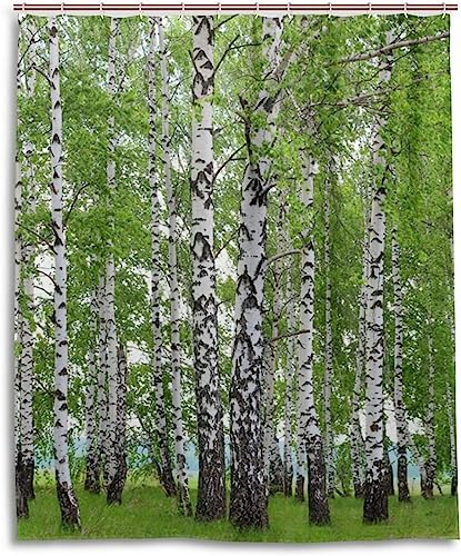 INAAYO 3D Duschvorhang 120x200 Birkenwald Duschvorhänge Antischimmel Wasserdicht Badevorhang Birkenwald Duschrollo für Badewanne Dusche Shower Curtains, 8 Duschvorhang Ringe von INAAYO