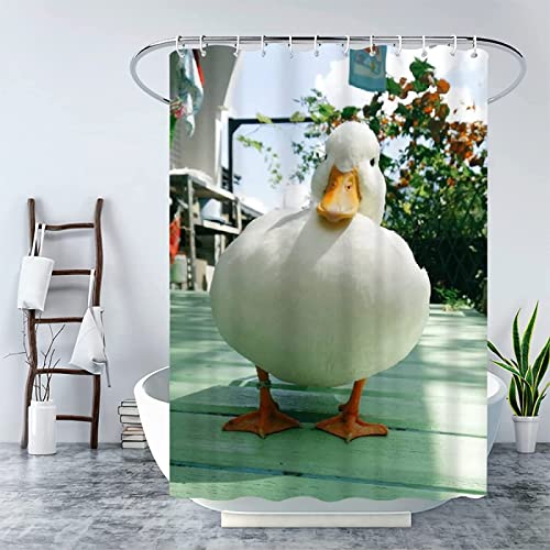 INAAYO 3D Duschvorhang 180x180 Ente Duschvorhänge Antischimmel Wasserdicht Badevorhang Ente Duschrollo für Badewanne Dusche Shower Curtains, 12 Duschvorhang Ringe von INAAYO