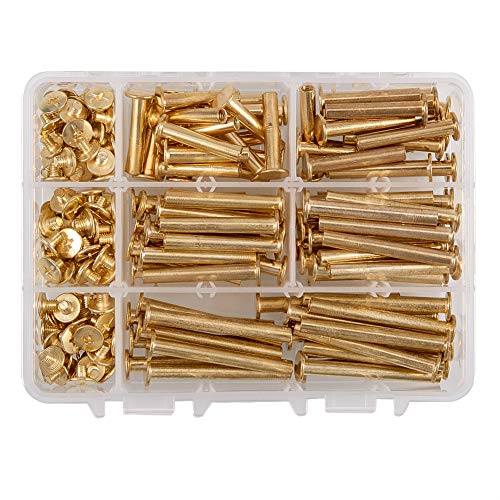 INCREWAY 5 mm x 25/30/35/40/45 mm, verkupferte Bindung, Chicago-Schrauben, Zylindermuttern, Docking-Nieten, Messington, 100 Stück INCREWAY 5 mm x 25/30/35/40/45 mm, verkupferte Bindung, Chicago-Schrauben, Zylindermuttern, Docking-Nieten, Messington, 100 Stück von INCREWAY