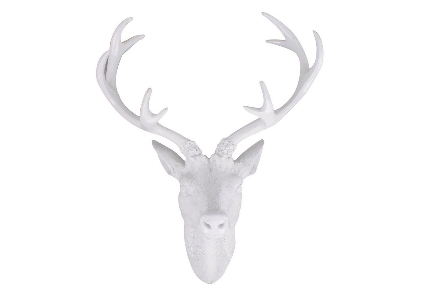 INDA-Exclusiv Wanddekoobjekt XXL Hirschgeweih Hirschkopf Geweih 10-Ender Weiß 48x32x61cm INDA-Exclusiv Wanddekoobjekt XXL Hirschgeweih Hirschkopf Geweih 10-Ender Weiß 48x32x61cm von INDA-Exclusiv