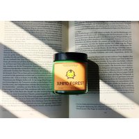 Junimo Forest Stardew Valley Duftkerze Im Glas Sojawachs Grüner Apfel Geschenk Gamer Beste Freundin Sdv Deko Herbstkerze Geburtstagsgeschenk von INDIGOFOXCandles
